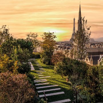 the penthouse garden at the bulgari hotel, paris