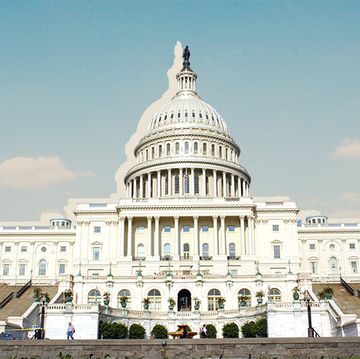 the united states capitol in washington dc