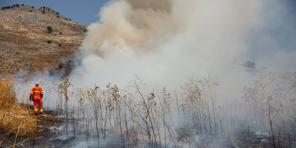 a forest ranger stands in the arid land burnt by a fire