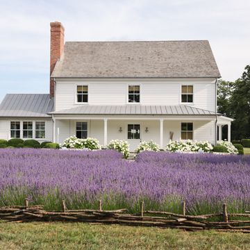 loro piana on shelter island farm