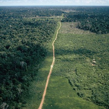 amazon basin the last frontier